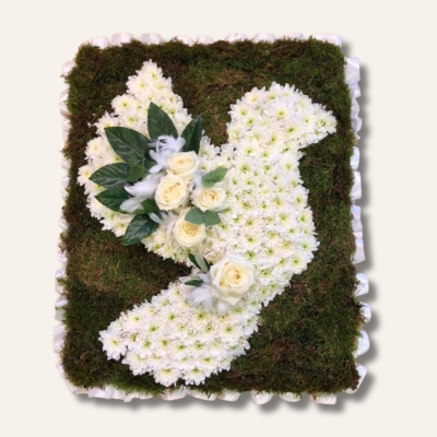 Dove-shaped funeral tribute made with white chrysanthemum on a moss base, featuring a white rose focal, feather and diamanté details, measuring approximately 36 inches high by 24 inches wide.