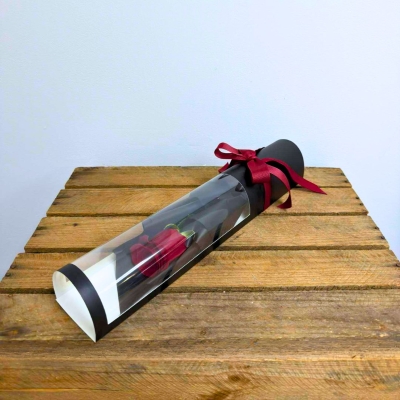 Luxury single red rose displayed in a black presentation tube with a clear window, red ribbon bow and diamante centre detail.