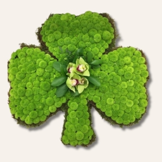 Shamrock funeral tribute made with massed Kermit chrysanthemum and central lime green focal, 24 x 23 inches.