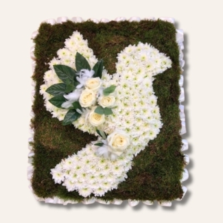 Dove-shaped funeral tribute made with white chrysanthemum on a moss base, featuring a white rose focal, feather and diamanté details, measuring approximately 36 inches high by 24 inches wide.